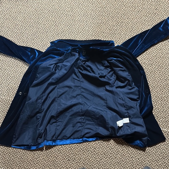 Velvet Blazer - Picture 3 of 5